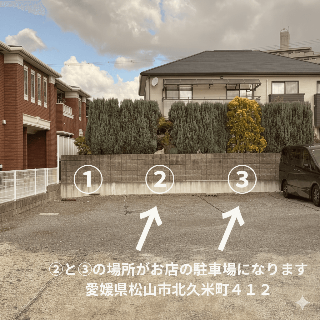 駐車場の様子